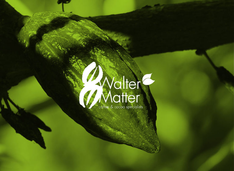 Visuel pour Walter Matter
