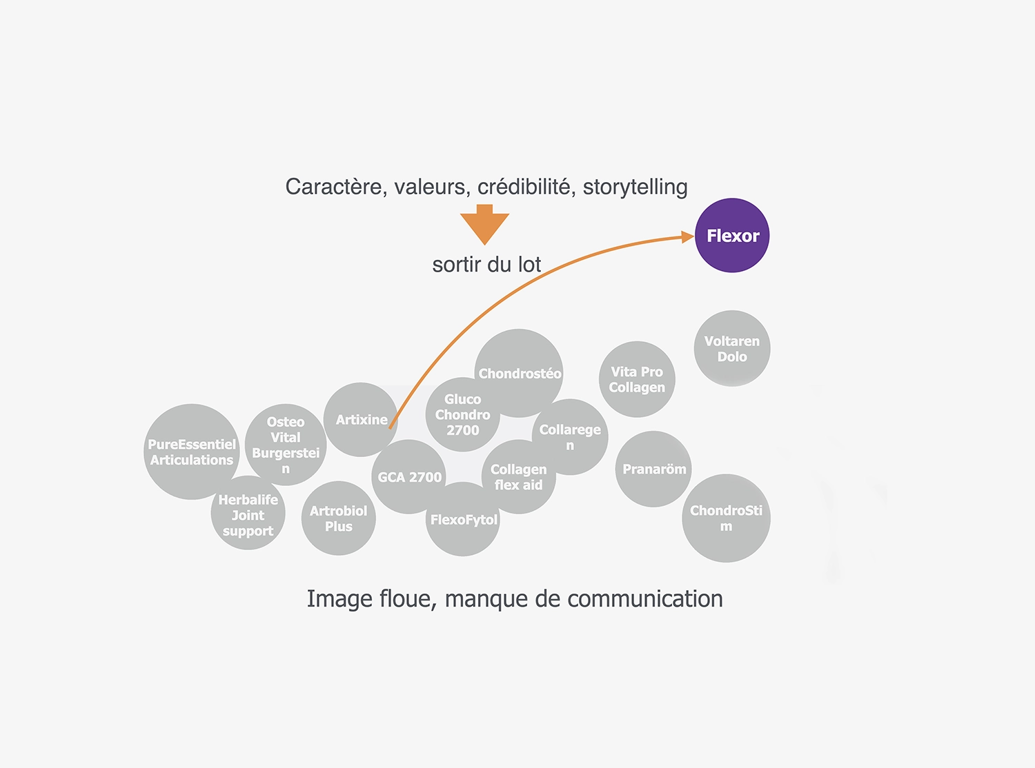 Visuel caractere, valeurs, credibilite, storytelling pour la campagne digitale de Flexor par Ivimedia